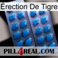 Érection De Tigre viagra2